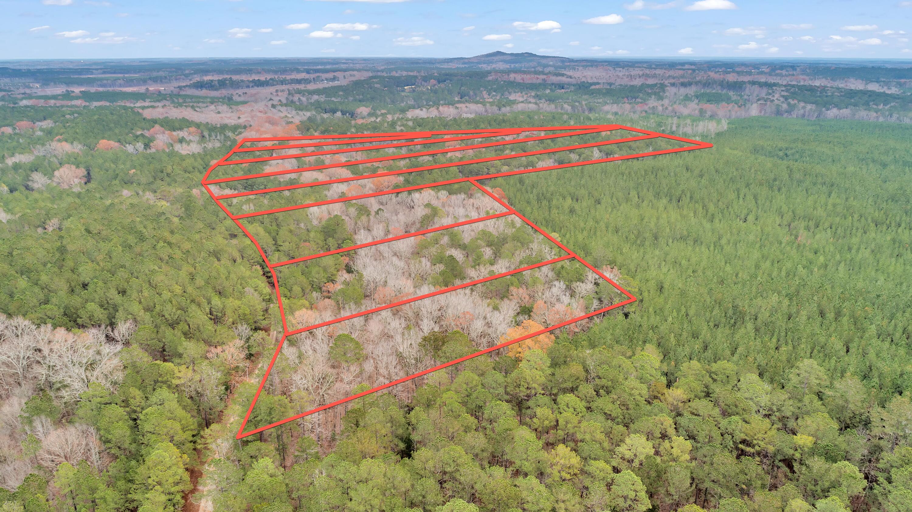 Lot 5 Saggus Road Washington, GA 30673 - Photo 35 of 40 Saggus Rd land 121-007A, 400ft View, Dro