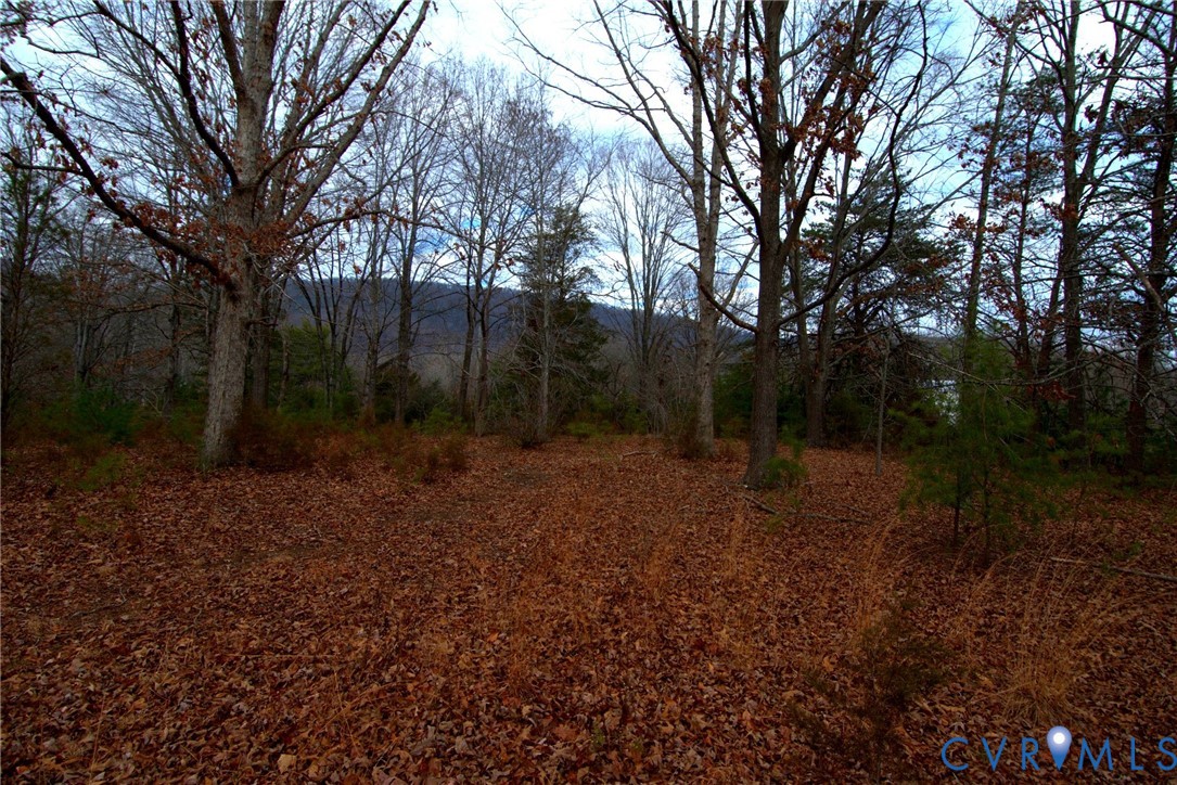 1380 Craigtown Road Shipman, VA 22971 - Photo 11 of 14 a view of a forest with trees in the background