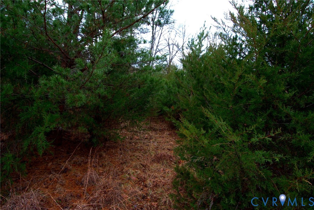 1380 Craigtown Road Shipman, VA 22971 - Photo 14 of 14 a view of a yard