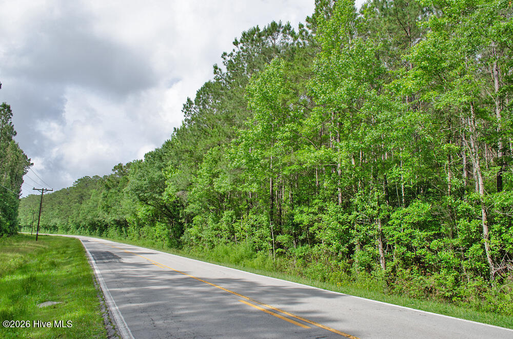 1 Old Winberry Road Newport, NC 28570 - Photo 7 of 10 DSC_0001