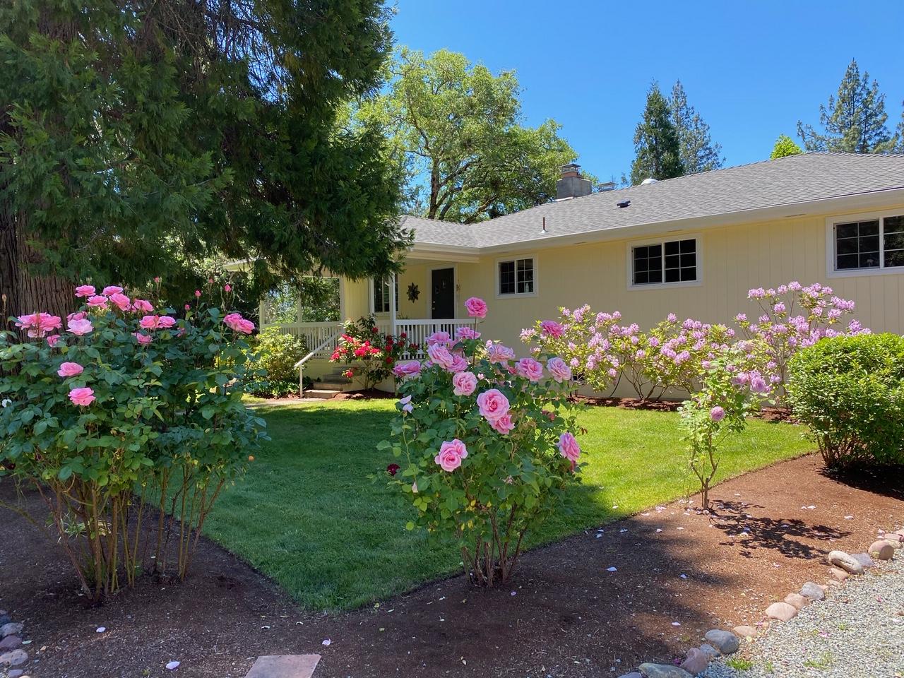 401 West Intervale Road Grants Pass, OR 97527 - Photo 8 of 51 Blooms in Spring 2020.