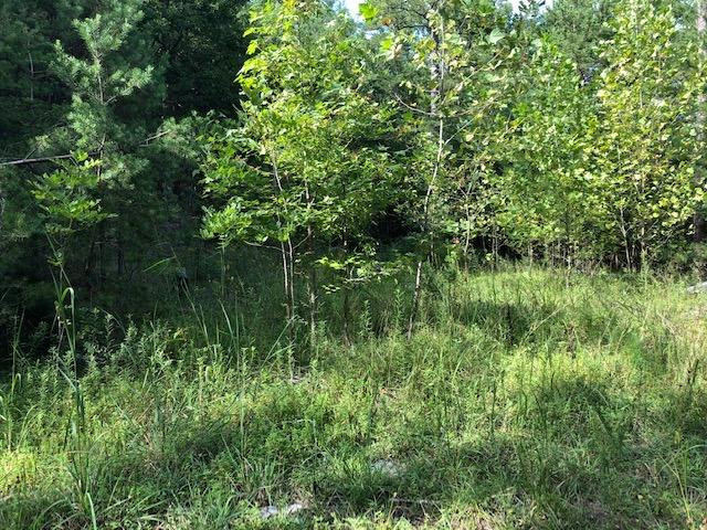 940 Beech Fork Road Clay City, KY 40312 - Photo 9 of 18 Photo 9