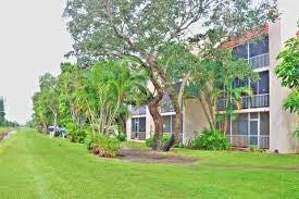 a view of a big yard with plants and large trees