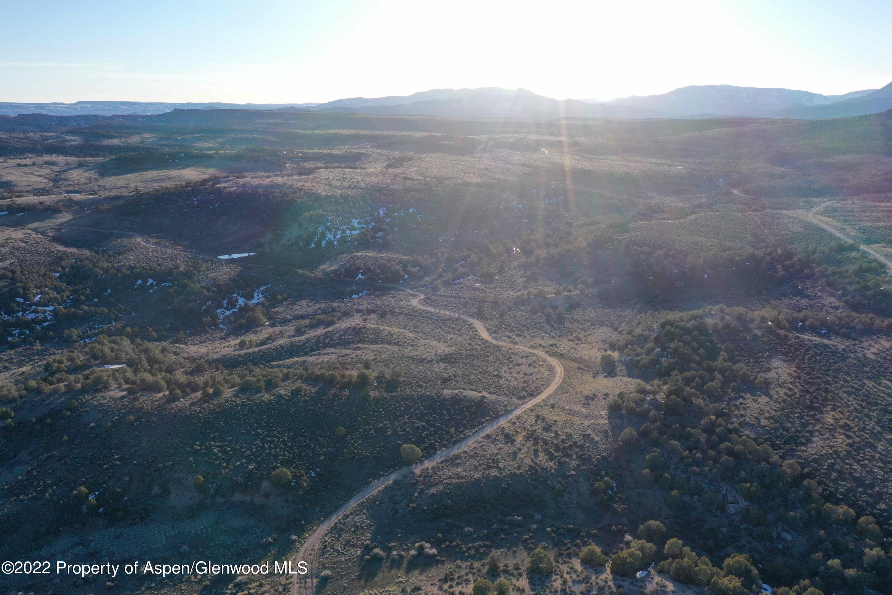a view of a dry yard