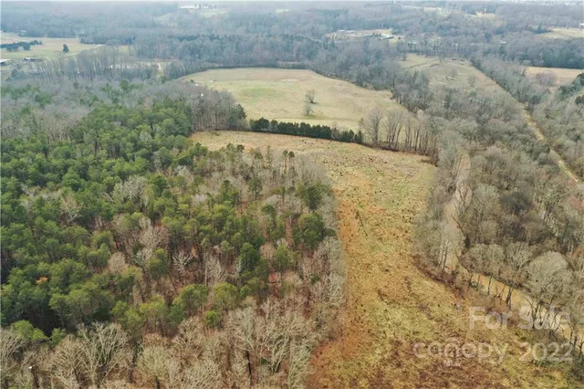 a view of a dry yard with green space