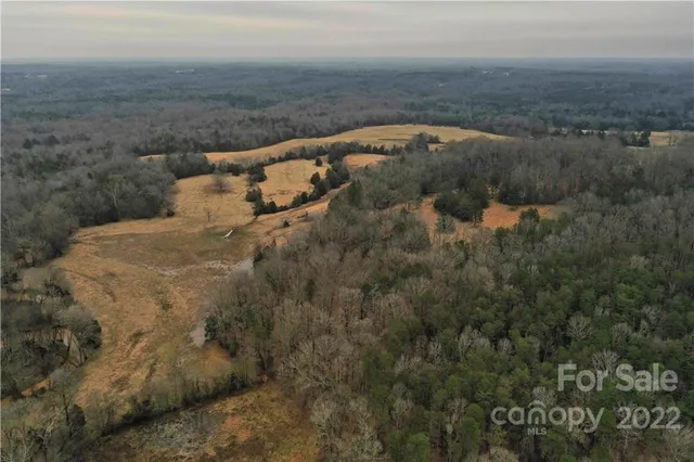 a view of a dry yard