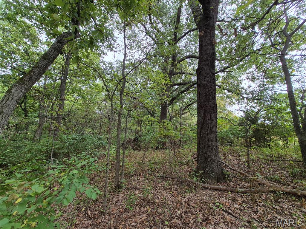 0 Russell Road Troy, MO 63379 - Photo 16 of 24 Gallery Image 16