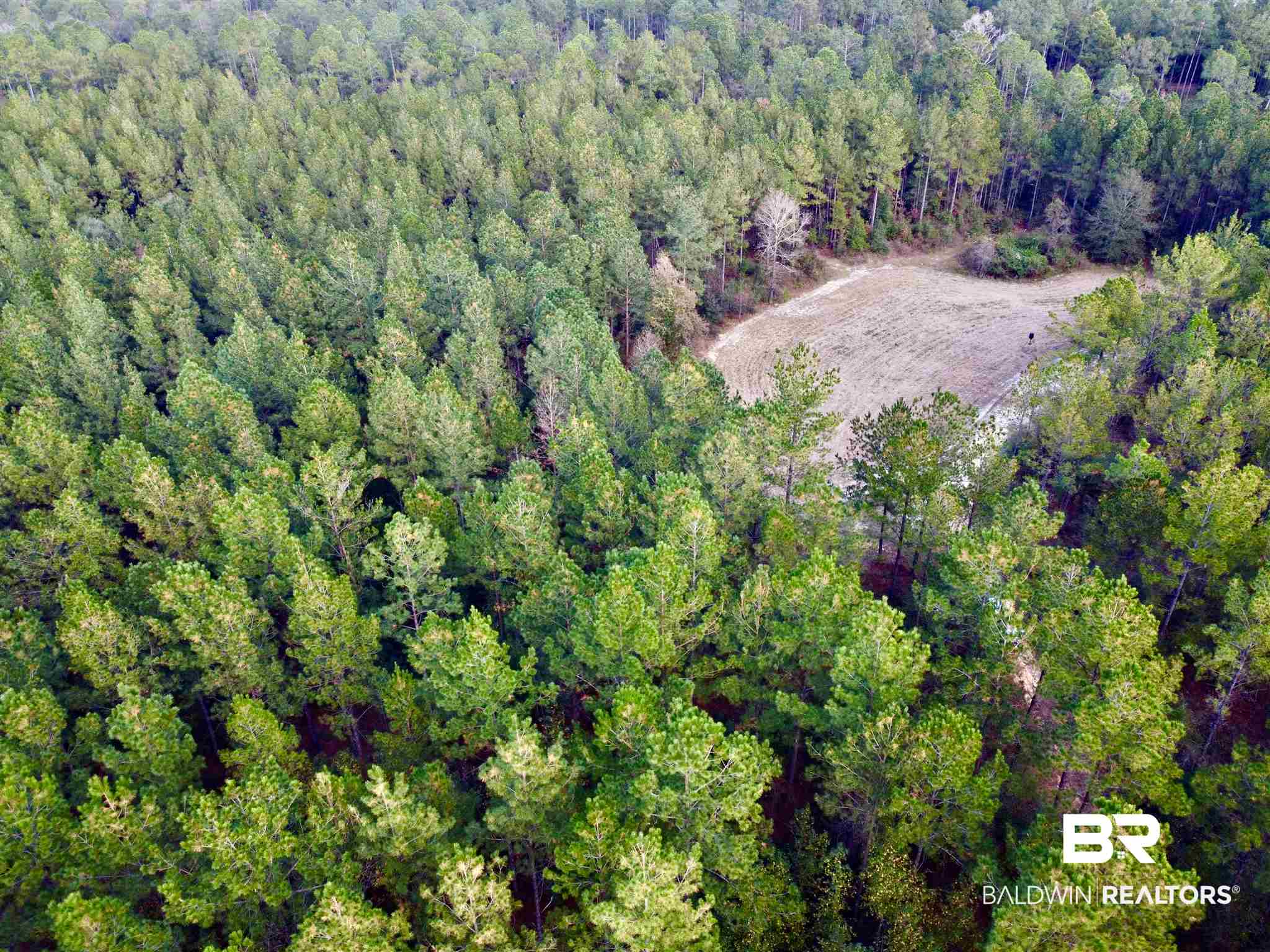 0 Whitetail Run Chatom, AL 36518 - Photo 20 of 29