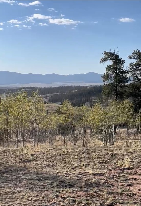 12 Loon Lane Como, CO 80432 - Photo 20 of 31