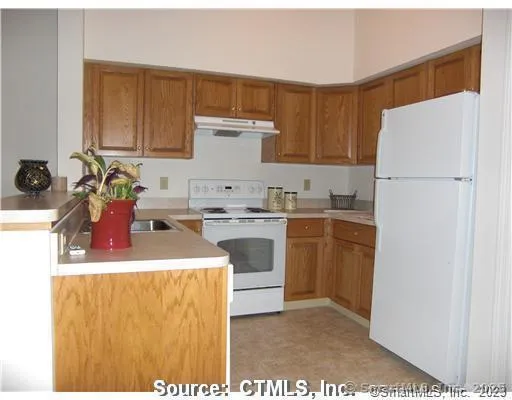 a kitchen with a sink a stove a refrigerator and cabinets