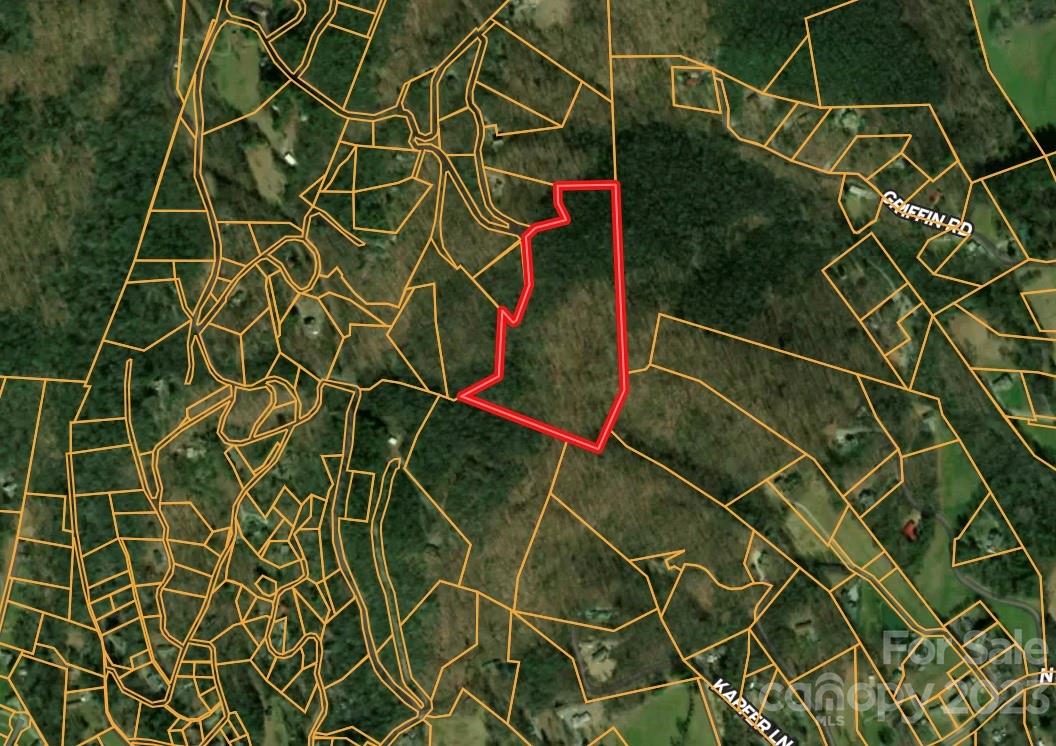 0 Rugged Top Road Hendersonville, NC 28792 - Photo 3 of 12