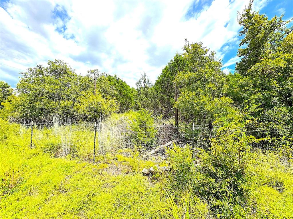Tbd A Consolation Drive Millsap, TX 76066 - Photo 5 of 16 a view of an ocean view