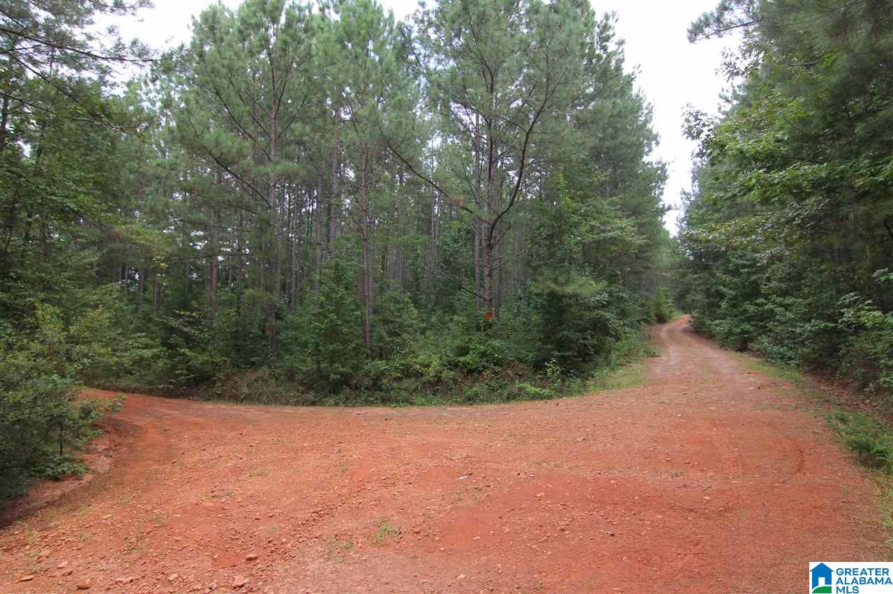 636 County Road, Unit 92 Roanoke, AL 36274 - Photo 6 of 11