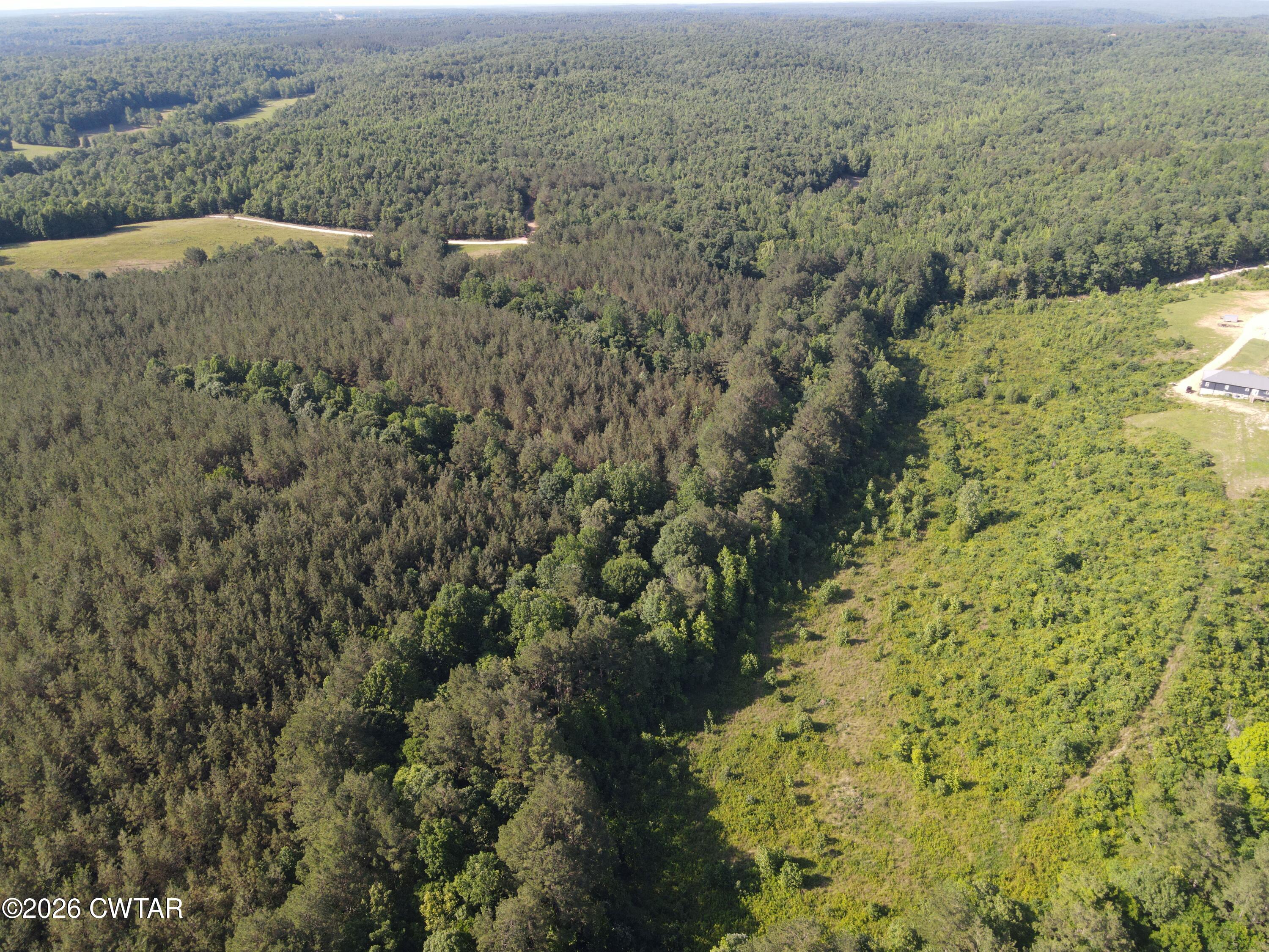 0 Walter Mills Road Sugar Tree, TN 38380 - Photo 1 of 15 DJI_0561.JPGR