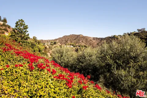 a view of residential tree