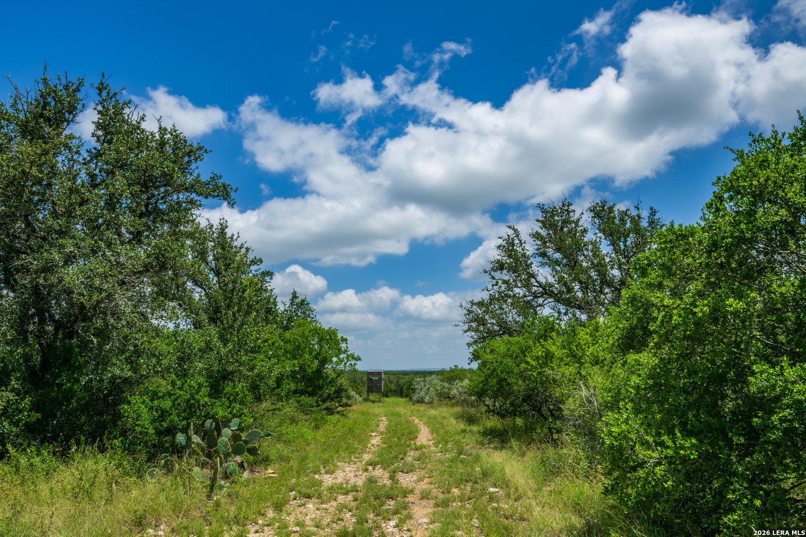 0 Miller Road Uvalde, TX 78801 - Photo 18 of 41