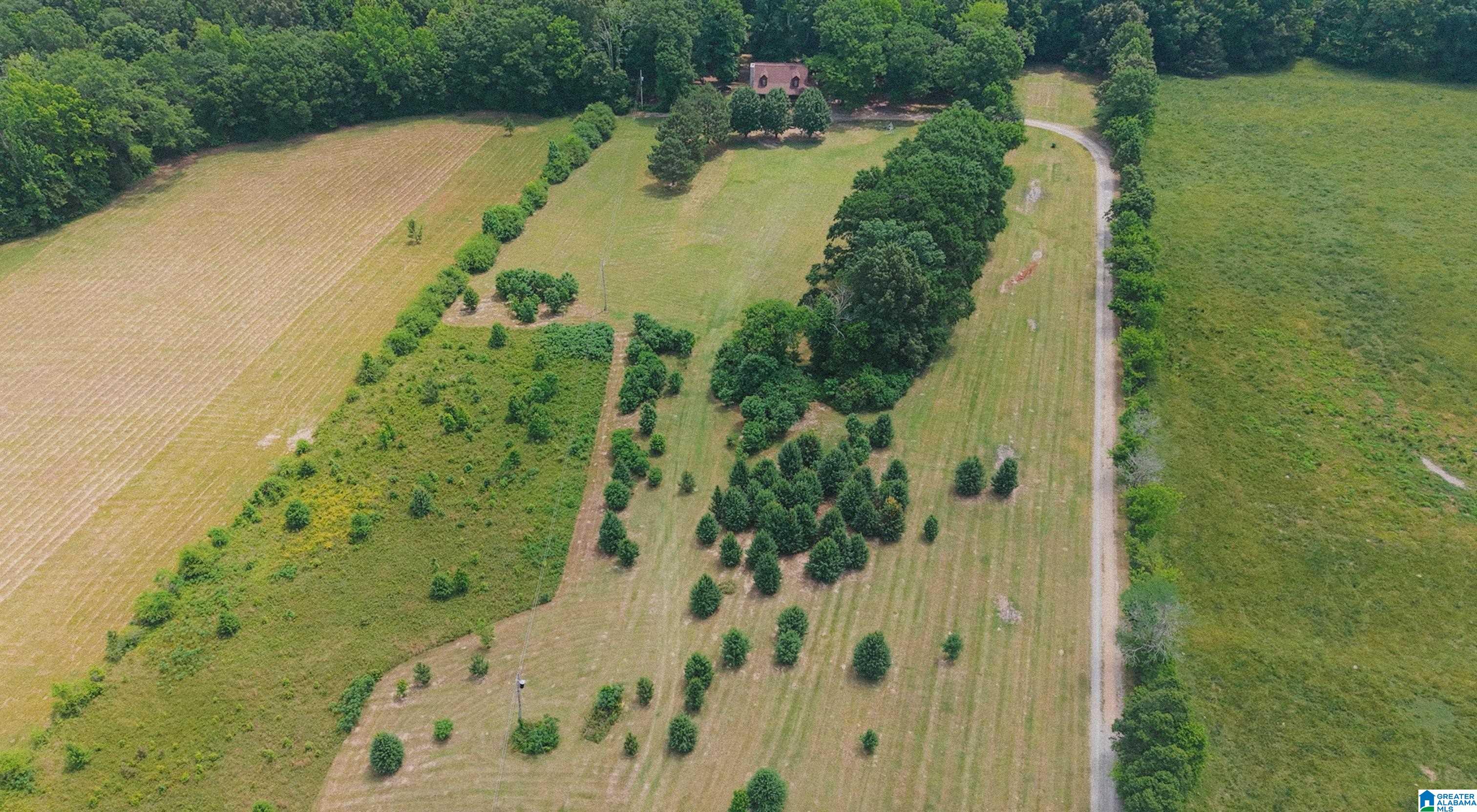 544 Fann Road Steele, AL 35987 - Photo 75 of 84