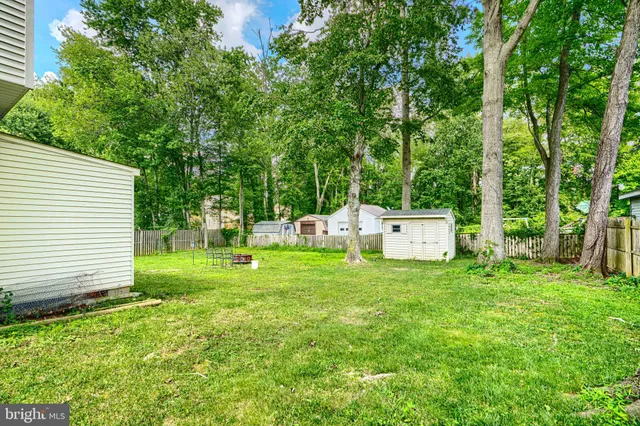 a backyard of a house with lawn chairs plants and large tree