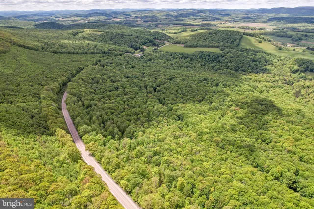 a view of a garden with a pathway
