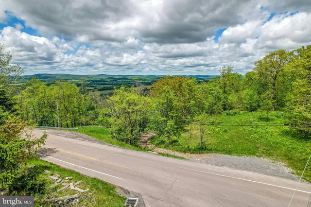 a view of a big yard with plants and large trees