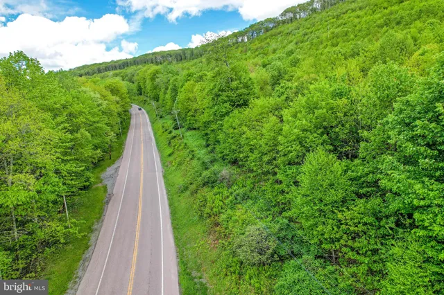 a view of a lush green space