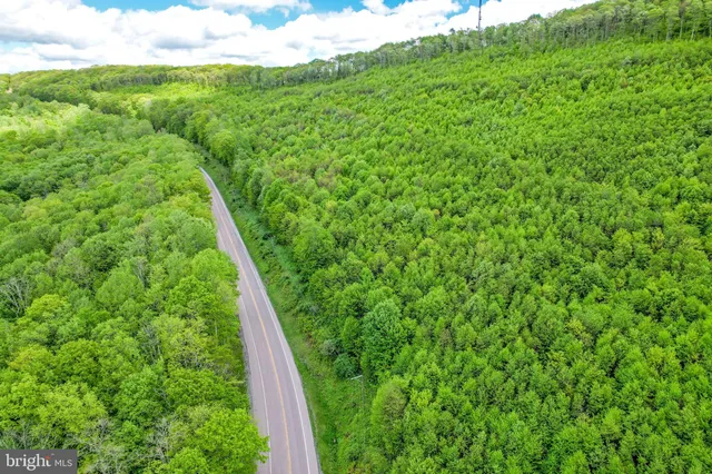 a view of a big yard with plants and sky view