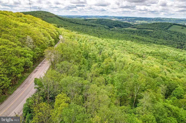 a view of a big yard with plants and a pathway