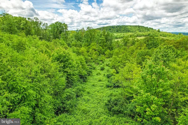 a view of a lush green space with sea