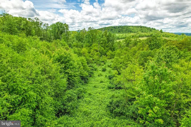 a view of a lush green space with sea