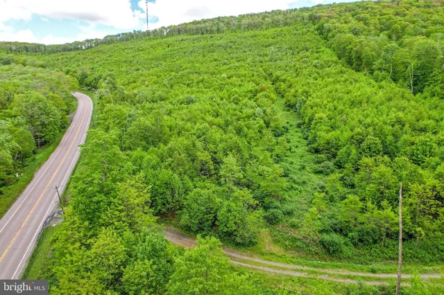 a view of a field with an ocean