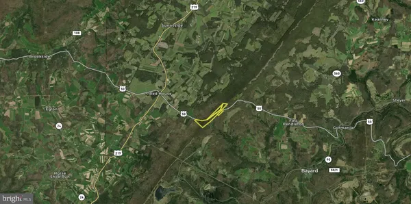 a view of a garden with plants