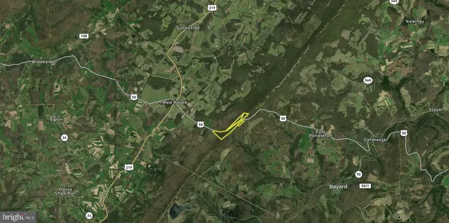 a view of a garden with plants