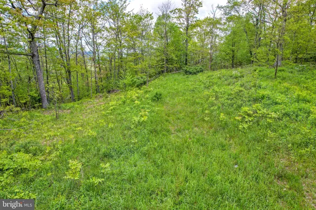 a view of a yard with an outdoor space
