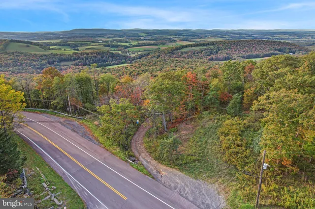 a view of a green field with lots of bushes