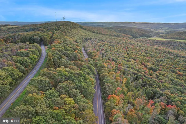 a view of a green field with lots of bushes