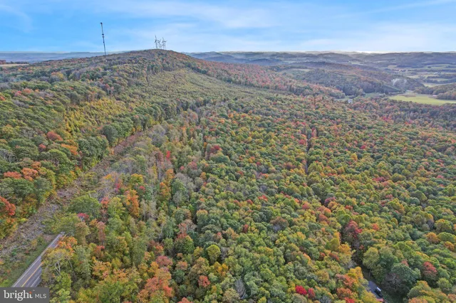 a big yard with lots of bushes and trees