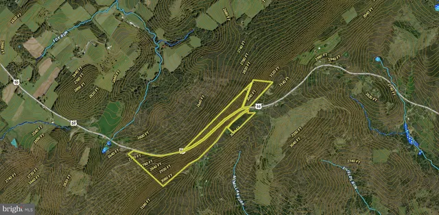 a view of a street with a trees