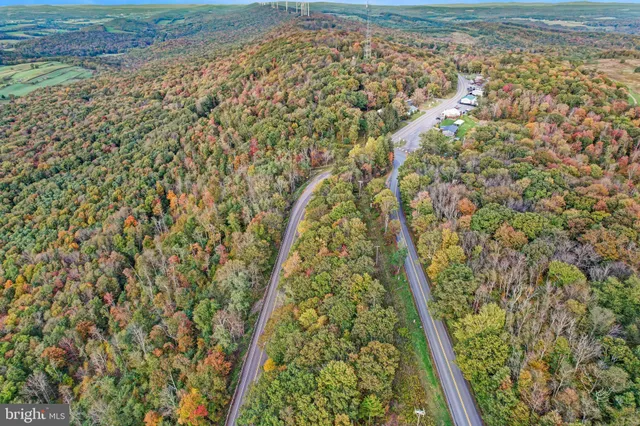 a view of a yard with plants and trees