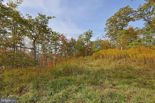 $490,000 | 0 George Washington Highway, Oakland, MD 21550