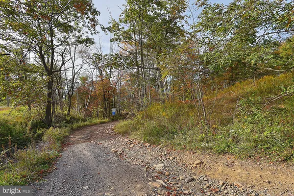$490,000 | 0 George Washington Highway, Oakland, MD 21550