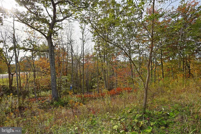 $490,000 | 0 George Washington Highway, Oakland, MD 21550