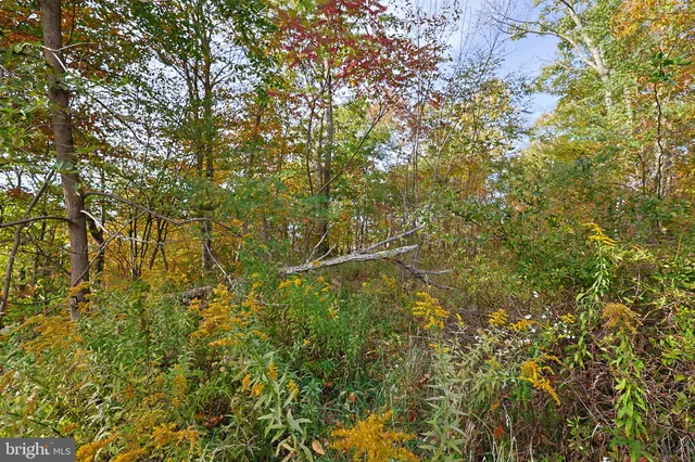 $490,000 | 0 George Washington Highway, Oakland, MD 21550