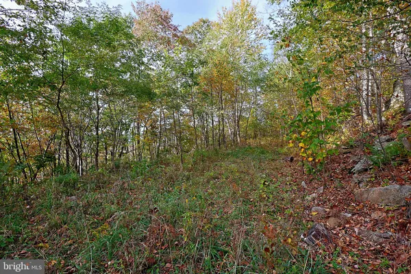 $490,000 | 0 George Washington Highway, Oakland, MD 21550