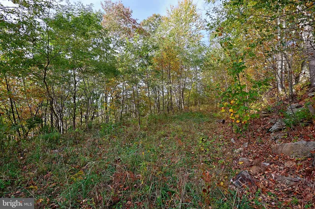 $490,000 | 0 George Washington Highway, Oakland, MD 21550