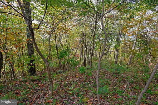 $490,000 | 0 George Washington Highway, Oakland, MD 21550