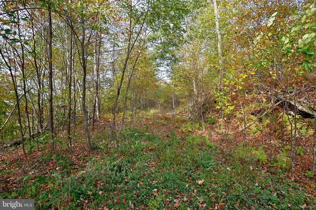 $490,000 | 0 George Washington Highway, Oakland, MD 21550