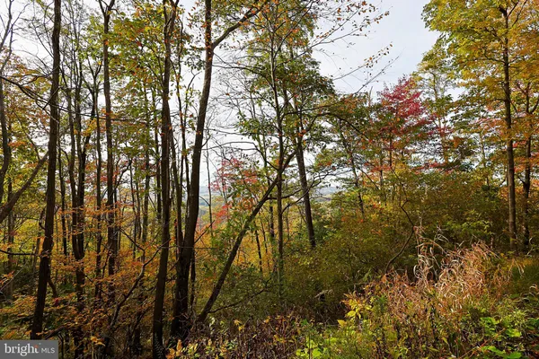 $490,000 | 0 George Washington Highway, Oakland, MD 21550