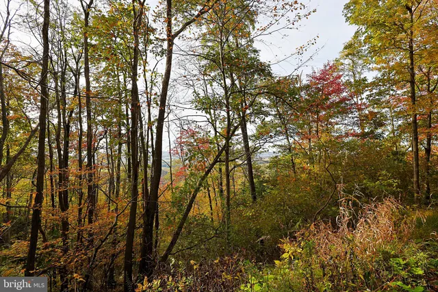 $490,000 | 0 George Washington Highway, Oakland, MD 21550