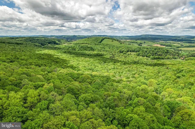 a view of a yard with an outdoor space
