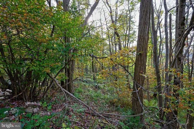 $490,000 | 0 George Washington Highway, Oakland, MD 21550